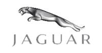 Jaguar Jaguar